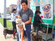 «Yo soy tu amigo»: Voluntarios realizarán concurso de disfraz canino y desparasitación
