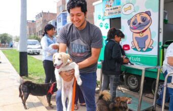 «Yo soy tu amigo»: Voluntarios realizarán concurso de disfraz canino y desparasitación