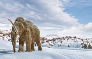 ¿Salvar la Tierra resucitando mamuts? La estrategia para combatir el cambio climático