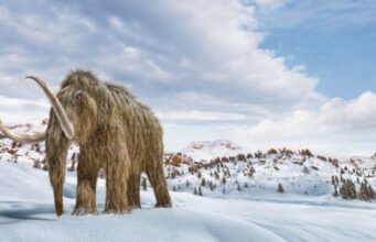 ¿Salvar la Tierra resucitando mamuts? La estrategia para combatir el cambio climático