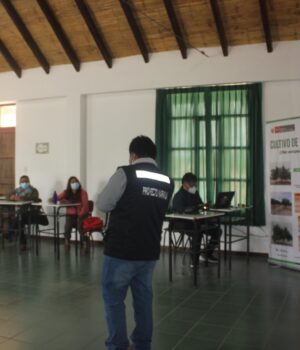 Tacna: La Yarada Los Palos produce cerca de 7 mil toneladas de naranja