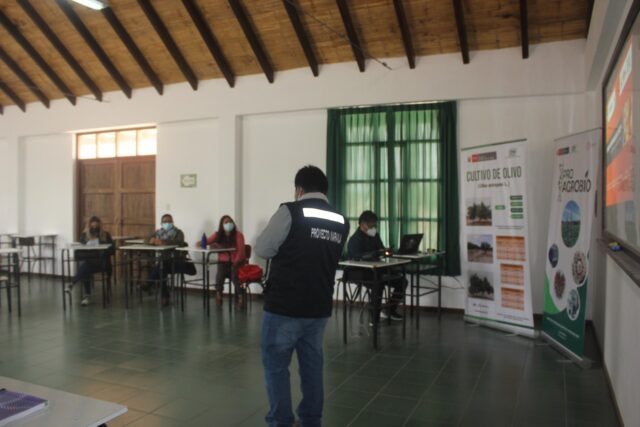 Tacna: La Yarada Los Palos produce cerca de 7 mil toneladas de naranja