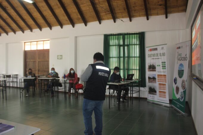 Tacna: La Yarada Los Palos produce cerca de 7 mil toneladas de naranja