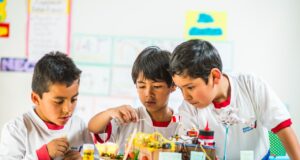 Futura Schools: Recomiendan aplicar estilos de aprendizaje en niños