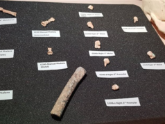 Descubren los restos de una nueva especie humana