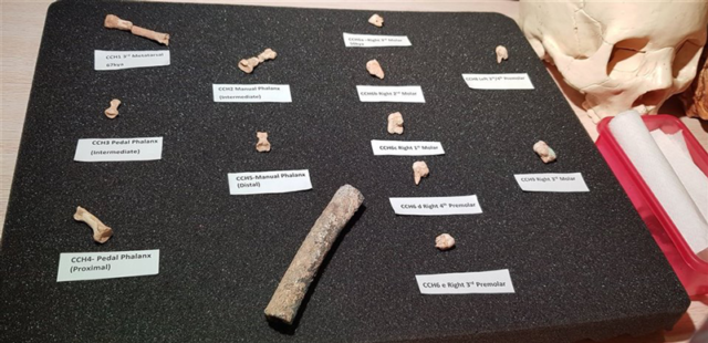 Descubren los restos de una nueva especie humana