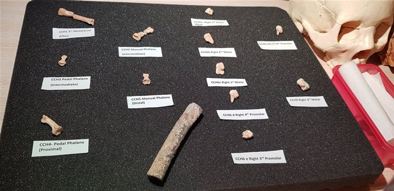 Descubren los restos de una nueva especie humana