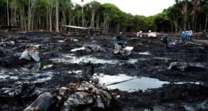 Petro Perú: Reportan nuevo derrame de petróleo en Loreto