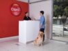 Clientes podrán entrar a Centros de Atención de Claro con sus mascotas